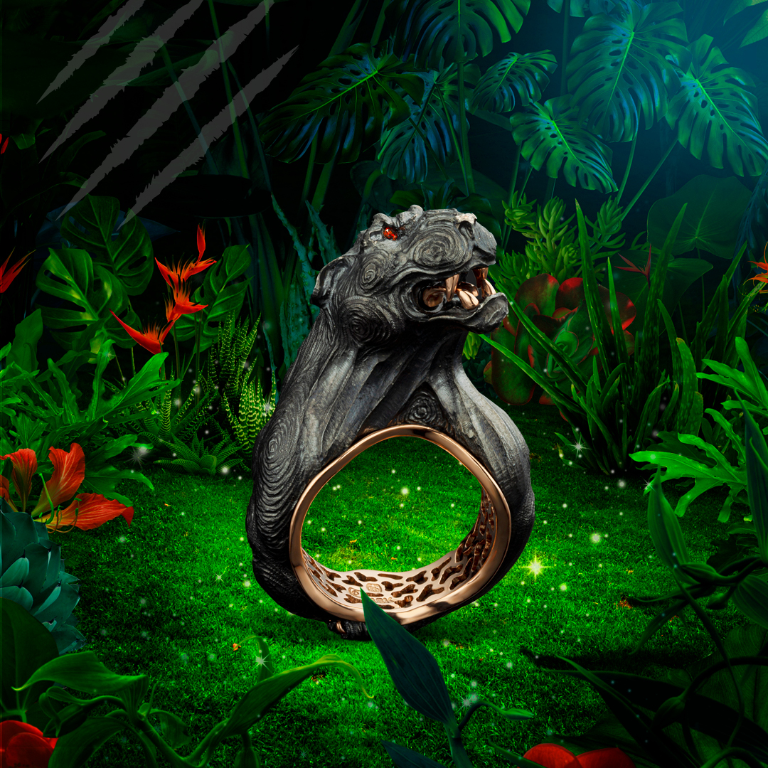 Sansen&Gangi-visuels_avril