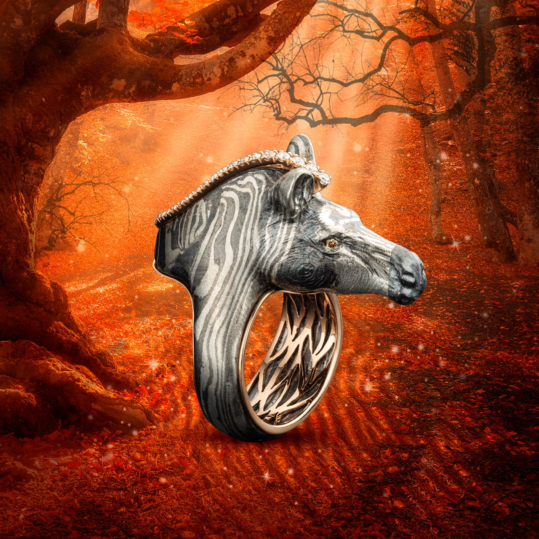 Sansen&Gangi-visuels_avril2